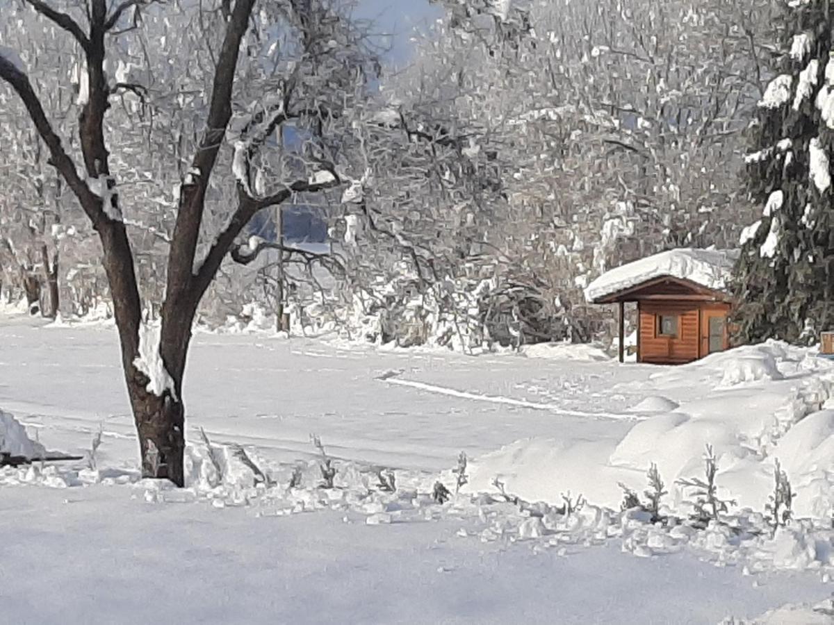 Alpenlodge Kirchbach Kirchbach  Exteriör bild