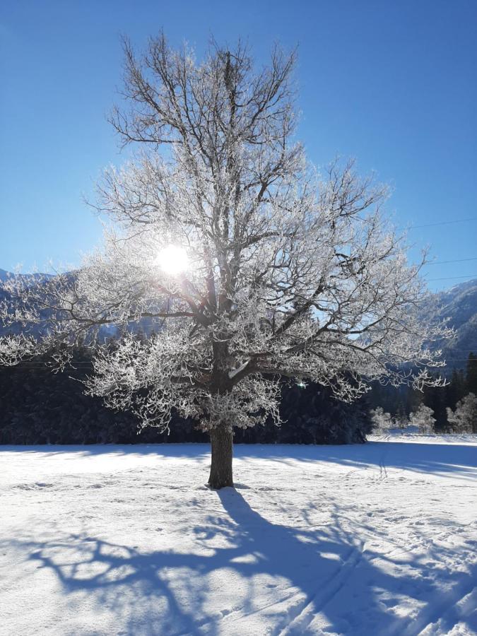 Alpenlodge Kirchbach Kirchbach  Exteriör bild