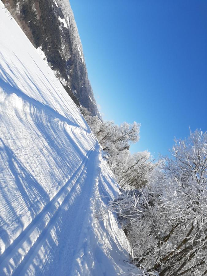 Alpenlodge Kirchbach Kirchbach  Exteriör bild