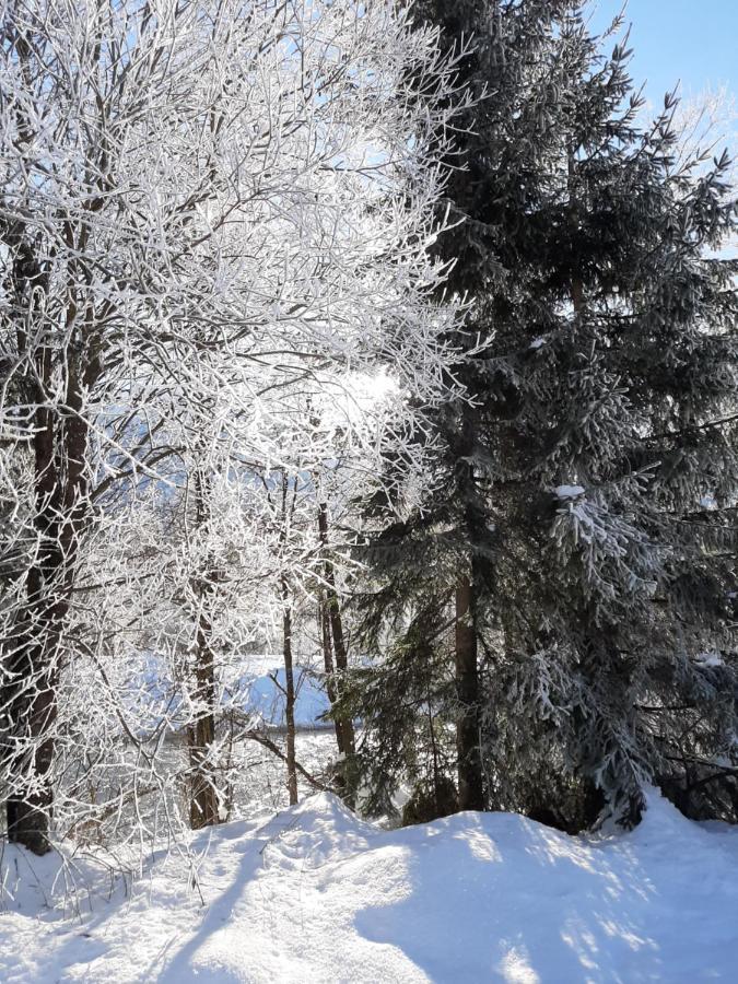 Alpenlodge Kirchbach Kirchbach  Exteriör bild